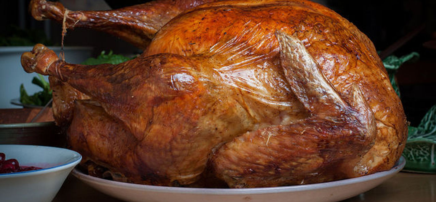 Image: PHOTO: Thanksgiving Turkey. (photo via Flickr/Tim Sackton)