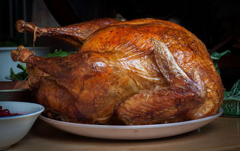 Thanksgiving Turkey