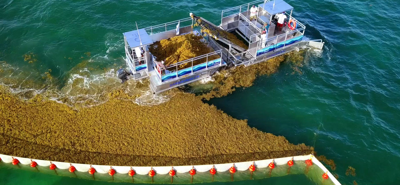 Image: PHOTO: Vidanta Riviera Maya has a sargassum removal project. (photo via Grupo Vidanta)