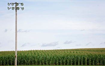 Field of Dreams baseball field with cornfield and outdoor light pole.
