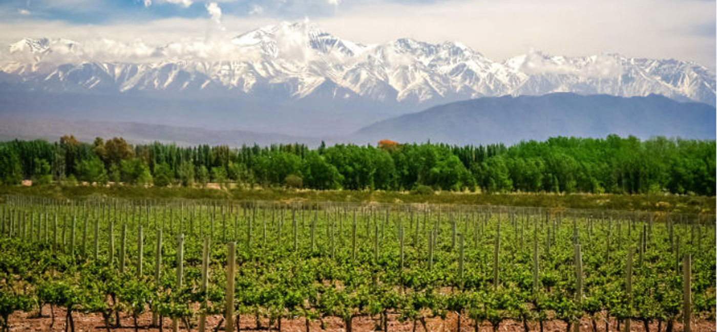 Image: Argentina produces some of the best wines in the world and tourists can take tours of the country's main wineries. (Photo via pawopa3336 / iStock / Getty Images Plus).