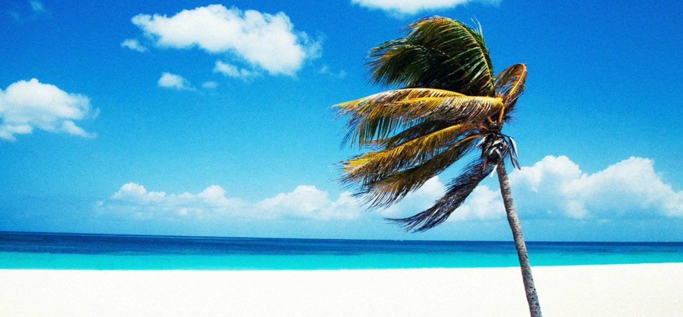Image: PHOTO: A beautiful beach in Aruba (Photo courtesy of Barceló Hotels & Resorts)  (Barcelo Hotels & Resorts)
