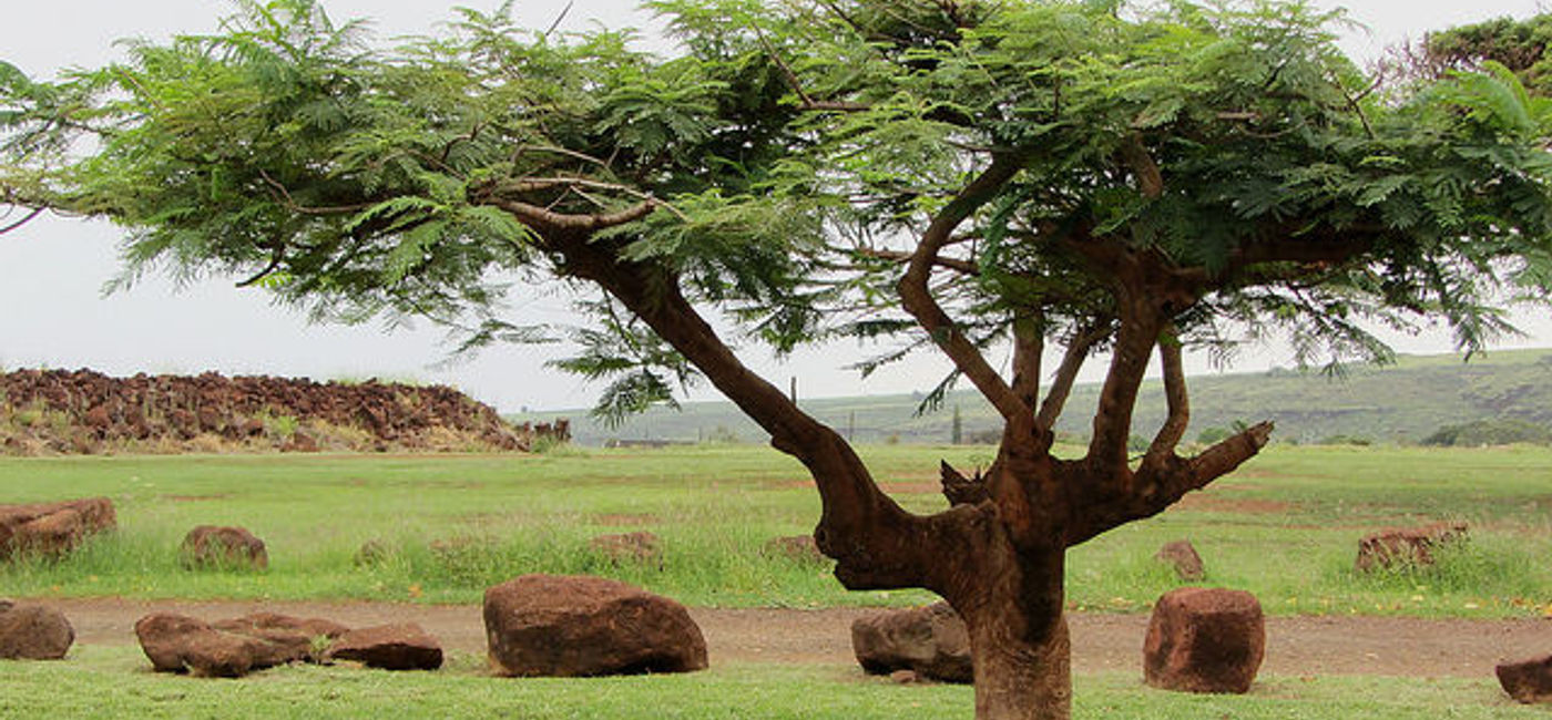 Image: PHOTO: Russian Fort Elizabeth State Historical Park, Kauai, Hawaii. (photo via Flickr/Robert Linsdell)