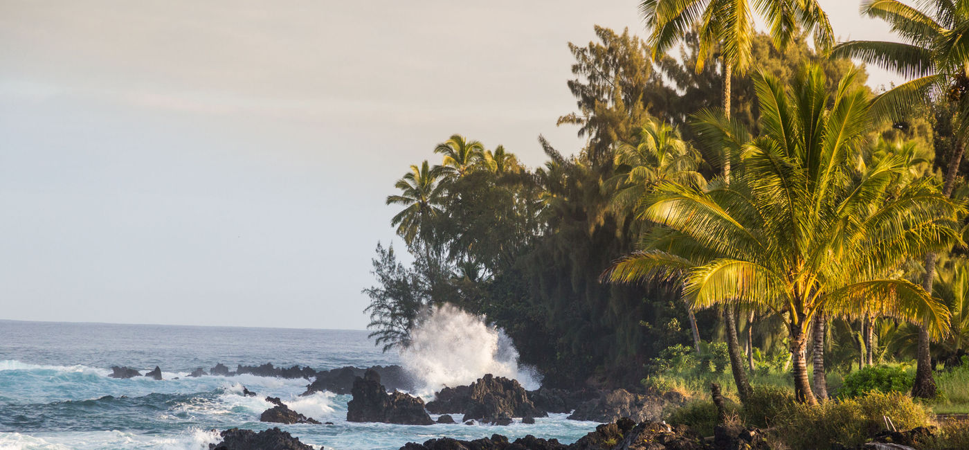 Image: Lava coastline near Hana, Maui (Hawaii Tourism Authority (HTA) / Tor Johnson)