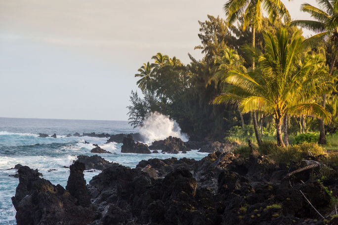 Waves crashing on black rock coast with palm trees at sunset