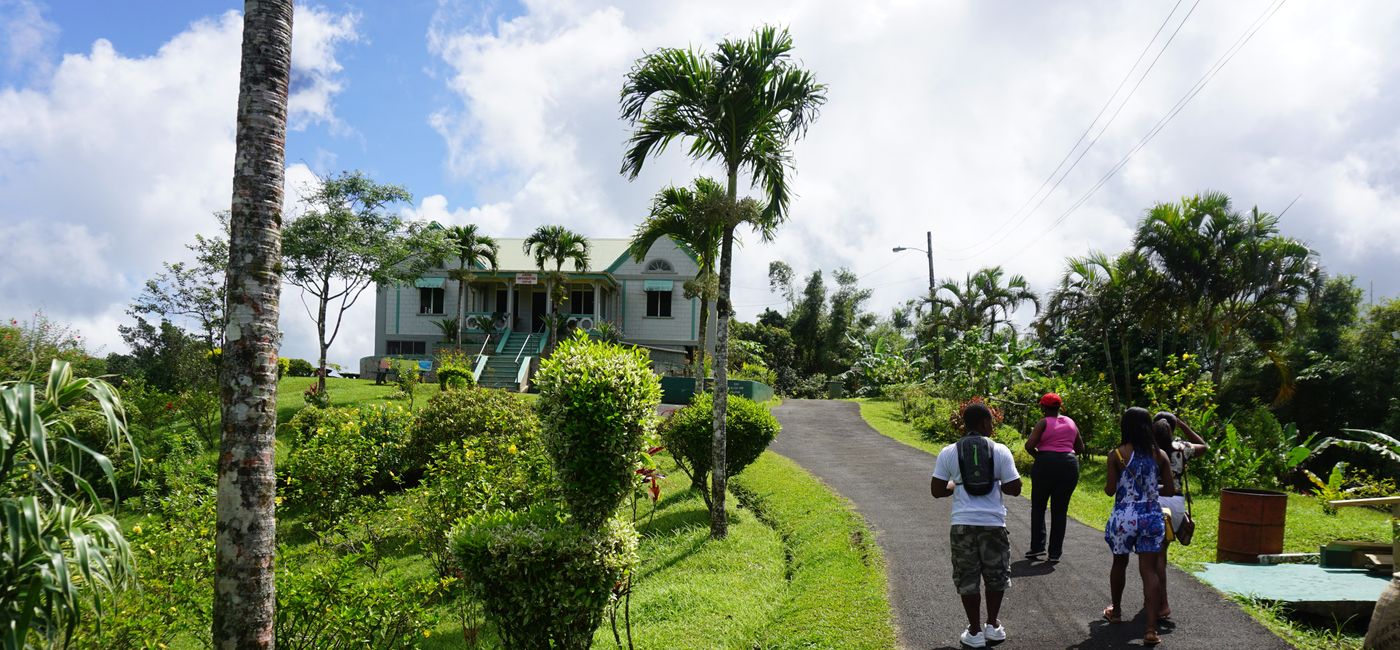 Image: Grenada's Grand Etang Rainforest Reserve is a designated "Pure Safe Travel" attraction. (photo by Brian Major)