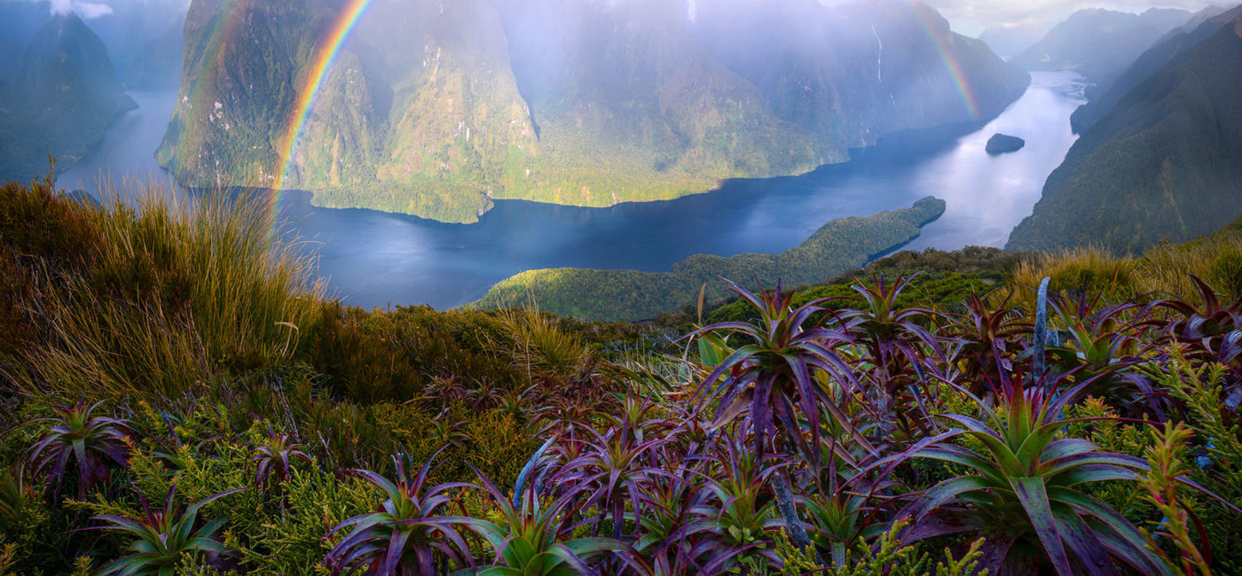 Image: A rainbow hovers over Doubtful Sound in New Zealand. (photo via William Patino) ((photo via William Patino))
