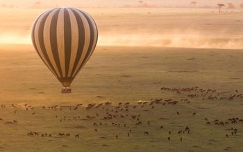 Kenya, Great Migration, safaris, unique safaris, luxury Africa, luxury safaris, Ker & Downey Africa