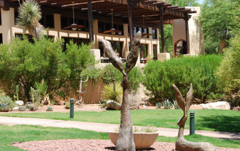 Miraval Arizona Resort & Spa Tucson