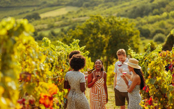 Group, friends, coworkers, colleagues, teambuilding, wine tasting, tour, vineyard, winery