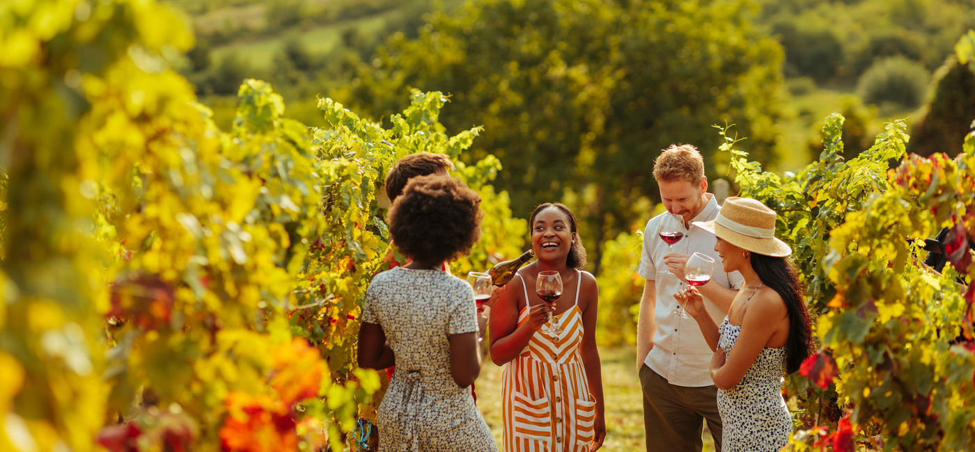 Image: Group enjoying a wine tasting tour in a vineyard on a sunny afternoon. (photo via iStock/Getty Images E+/Dimensions)