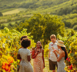Group, friends, coworkers, colleagues, teambuilding, wine tasting, tour, vineyard, winery