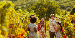 Group, friends, coworkers, colleagues, teambuilding, wine tasting, tour, vineyard, winery