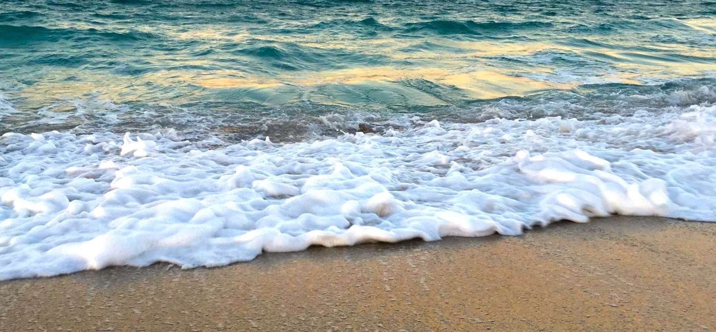 Image: Vero Beach, Florida.(photo by Noreen Kompanik)