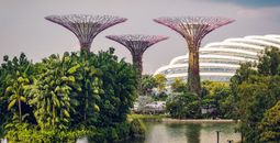 Gardens by the Bay, Singapore