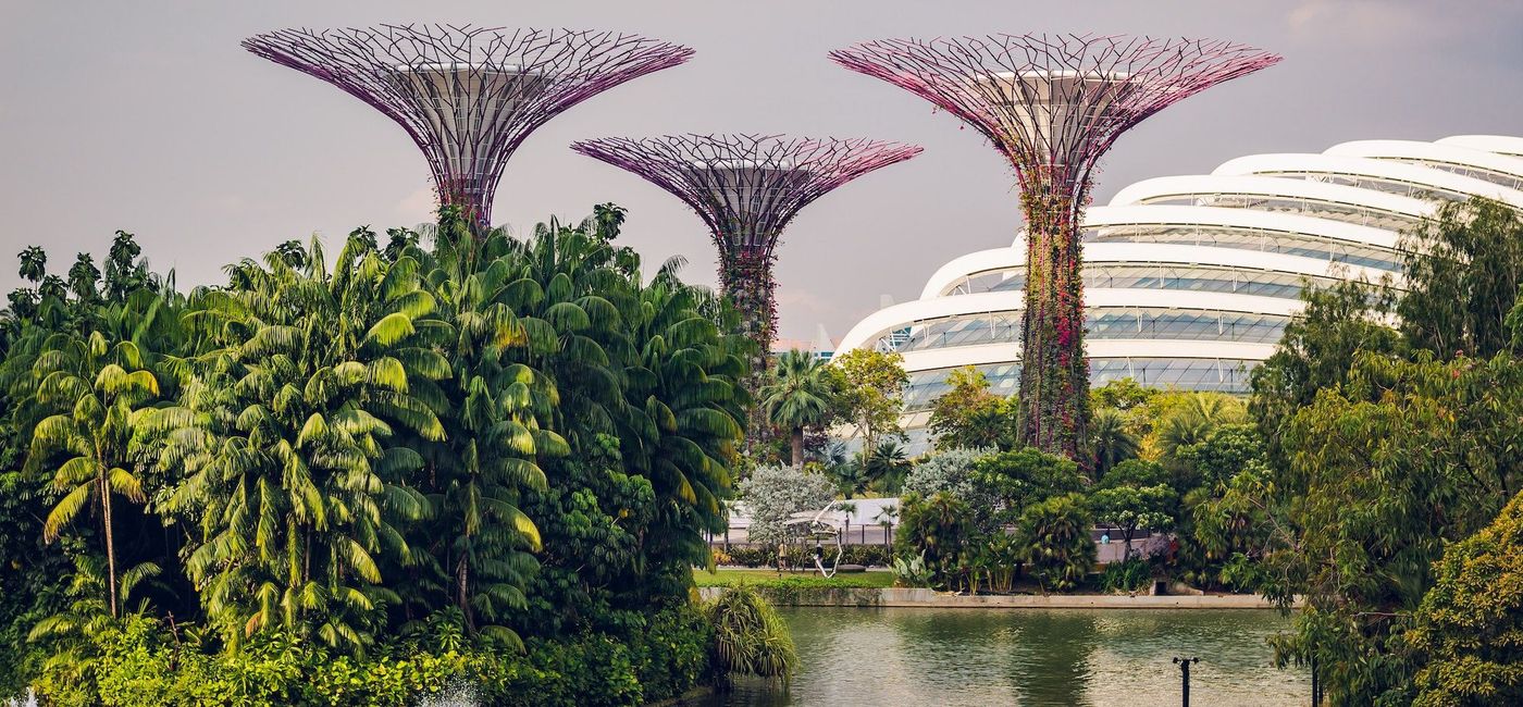 Image: Gardens by the Bay, Singapore. (photo via Unsplash/Daniel Welsh)
