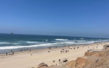 Huntington Beach, California, beach, dog-friendly beach, california