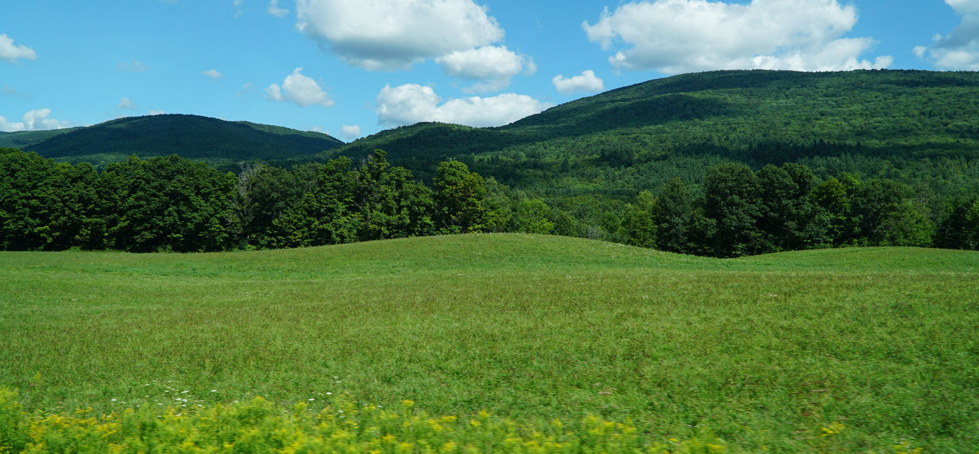 The Most Environmentally Friendly States TravelPulse