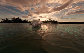 Banyan Tree Veya Bacalar, Banyan Tree, Veya