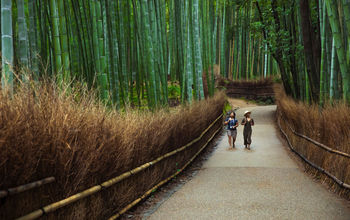 Kyoto, Japan, Bamboo forest, Arashiyama bamboo forest, G Adventures