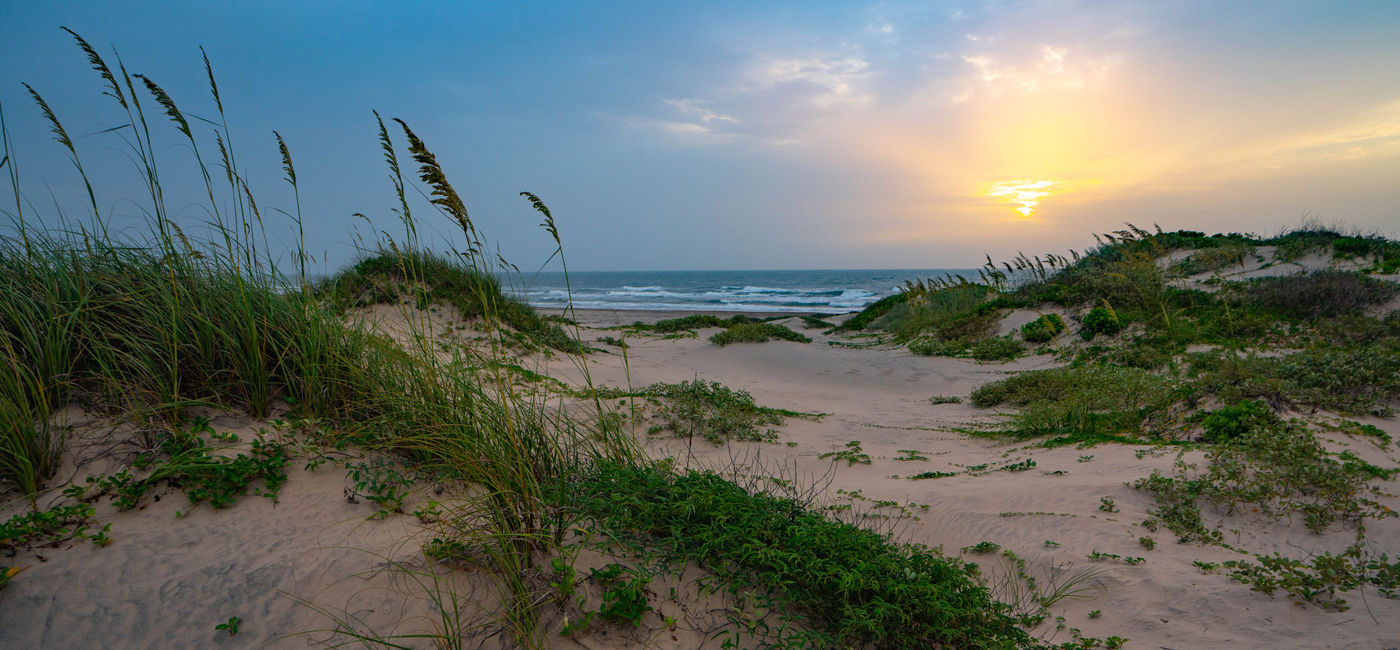 Surprising South Padre Island, Texas: A Nature Lover's Perfect Paradise |  Travelpulse