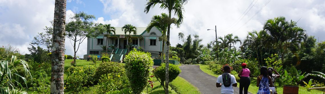 Grand Etang National Park in Grenada Grenada's Grand Etang National Park, caribbean, island,