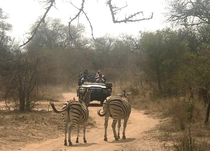 Early morning safari trek Early morning safari trek