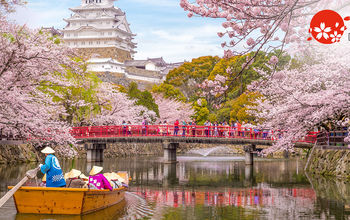 Boat ride on the moat of Himeji Castle with cherry blossoms in Japan.