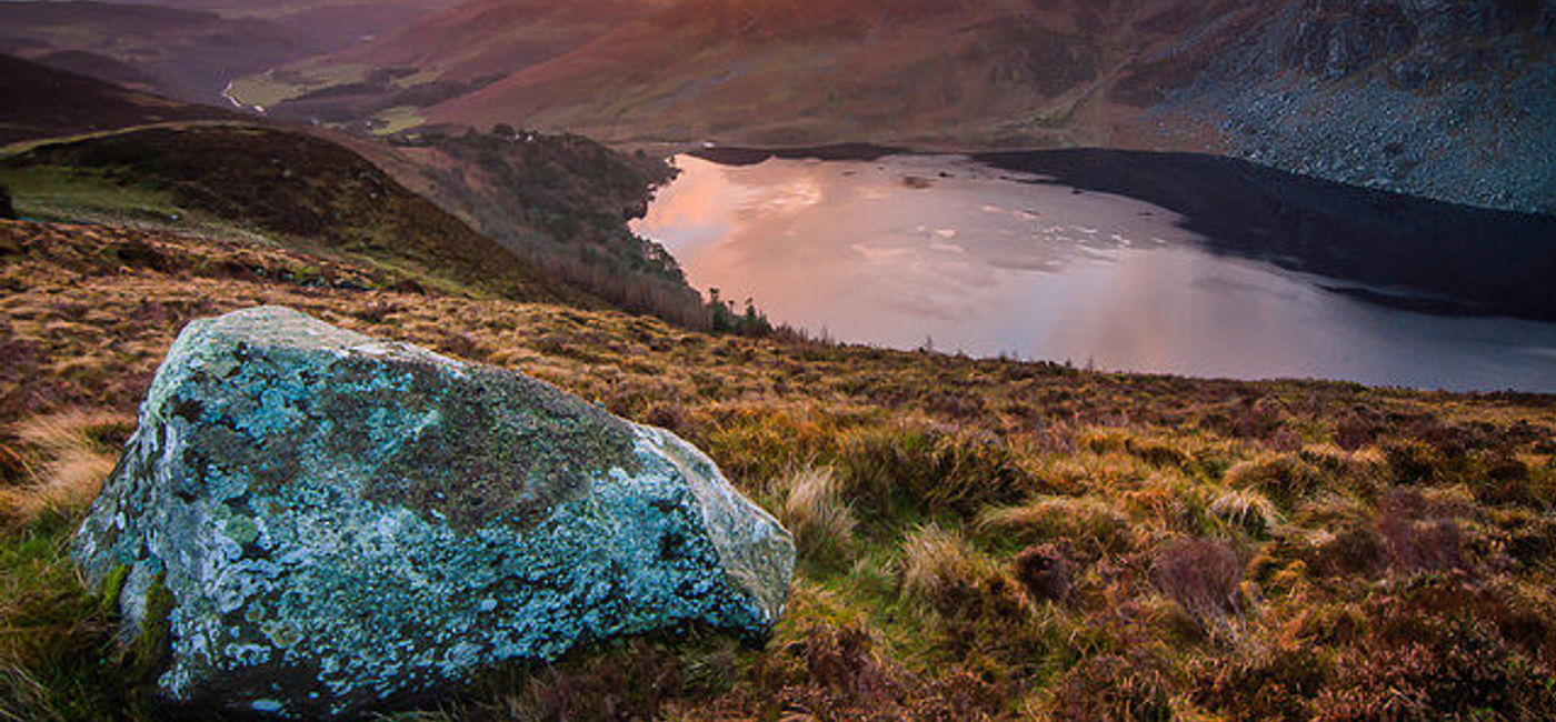 Image: PHOTO: Wicklow Mountains National Park in Ireland. (photo via Flickr/Michaela Fricova)