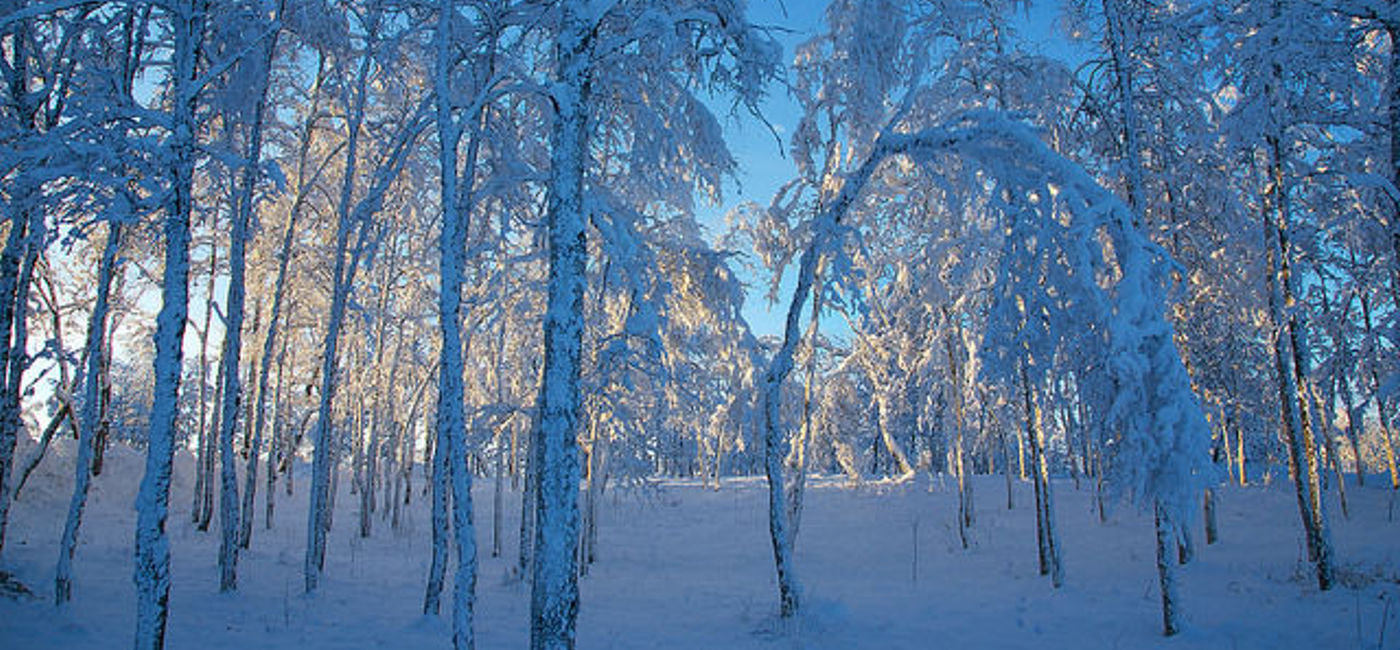 Image: PHOTO: Kiruna, Sweden landscape covered in snow. (photo via Flickr/djandywdotcom) 