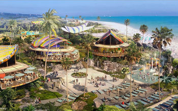 Disney Cruise Line