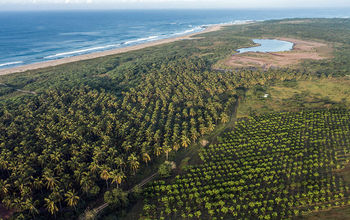 Aerial View of part of the Xala development.