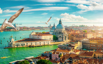 birds, seagulls, Venice, Venezia, Italy