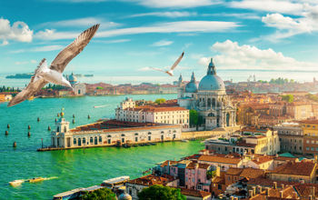 birds, seagulls, Venice, Venezia, Italy
