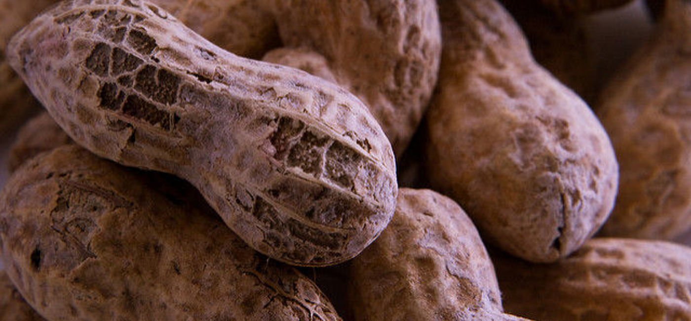 Image: <p>[IMAGECAPTION]PHOTO: Food allergies, such as those allergic to peanuts, are at the forefront of a federal complaint against American Airlines. (Courtesy Flickr/Andrew Malone)[/IMAGECAPTION]</p>