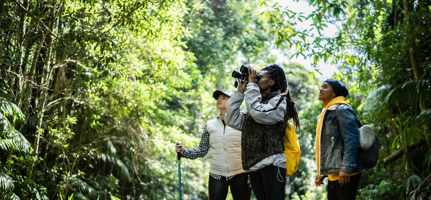 Image: Travelers using binoculars in a forest  (Photo Credit: Getty / FG Trade)