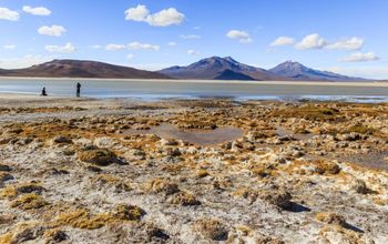 Surire Salt Flat, Chile