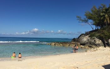 The beach at Blue Lagoon Island, Bahamas