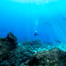 San Cristobal Galapagos, Ecuador, Ecuador Travel, diving