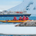 Lindblad Expeditions-National Geographic, seals, animals, expedition cruise, Antarctica, antarctica cruise