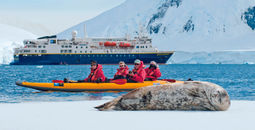 Lindblad Expeditions-National Geographic, seals, animals, expedition cruise, Antarctica, antarctica cruise