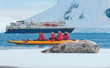 Lindblad Expeditions-National Geographic, seals, animals, expedition cruise, Antarctica, antarctica cruise