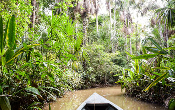 Lake Sandoval, the Amazon, Peru