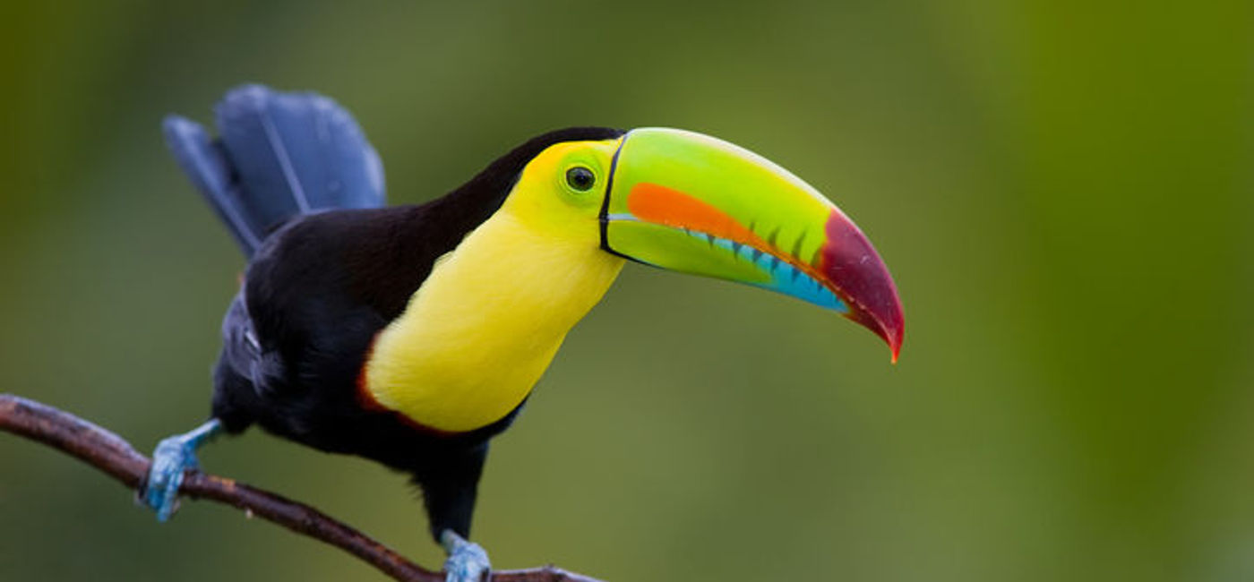 Image: Photo courtesy of Thinkstock (Thinkstock)
