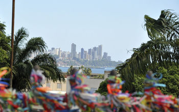 Thinkstock_Salvador