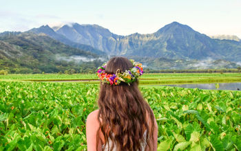 Taro Fields, Kauai