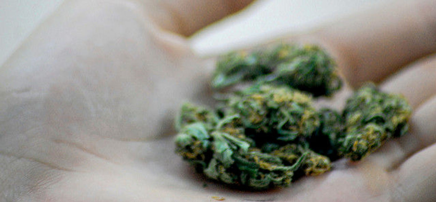 Image: PHOTO: Marijuana. (photo via Flickr/Katheirne Hitt)