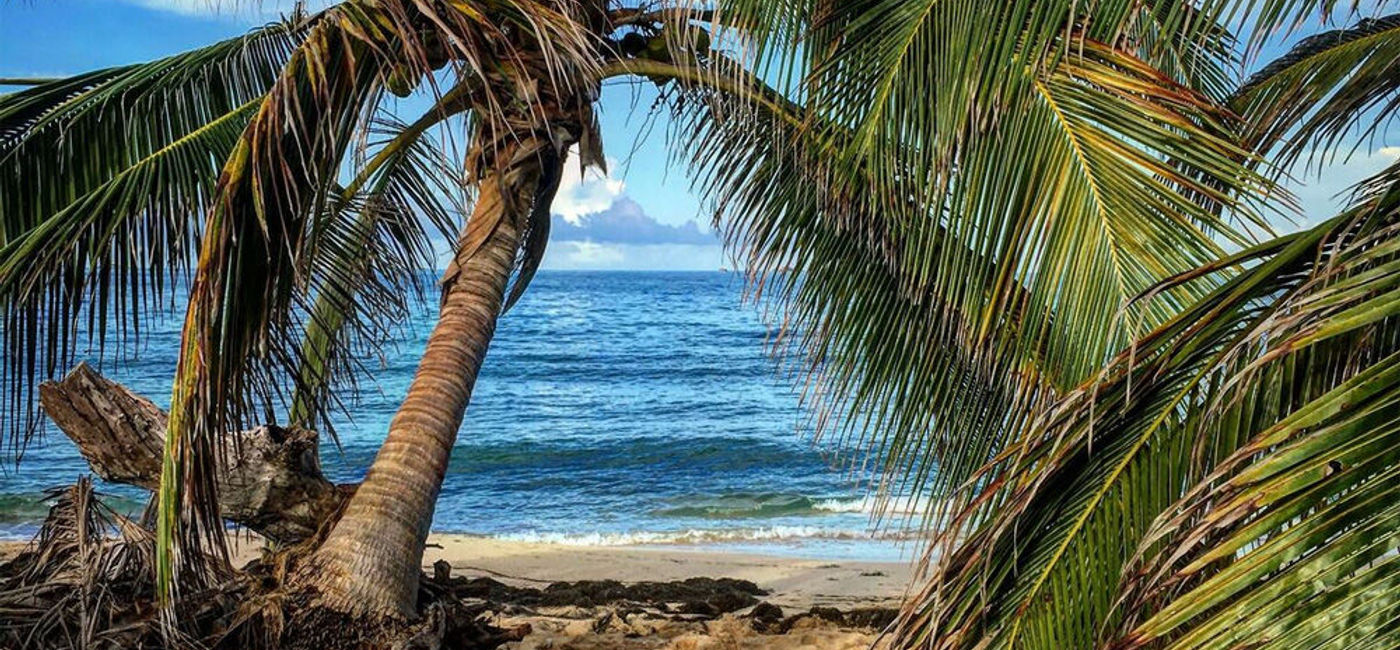 Image: PHOTO: A tropical island. (photo by Melinda Crow)