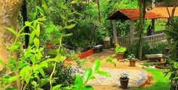 Enjoy the best eco adventures Puerto Vallarta has to offer