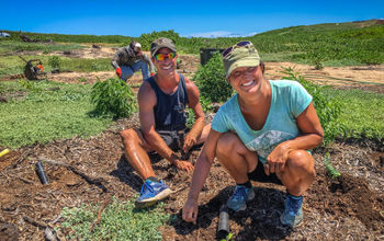 Hawaii Tourism Authority, Moloka'i, Molokai, community tourism, voluntourism